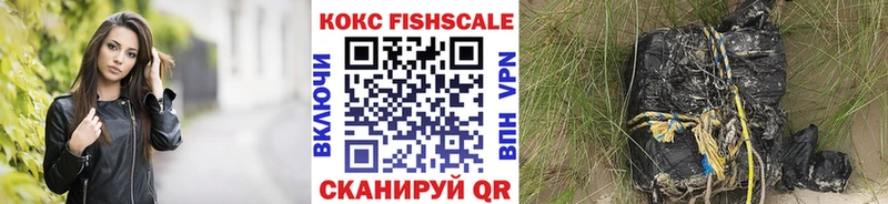 Cocaine FishScale  Купить закладки  Ряжск 
