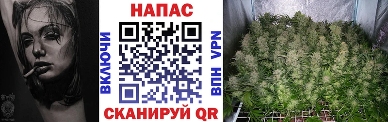 Купить закладки  Ряжск  Бошки Шишки конопля 